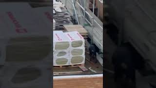 ADVENTUROUS DOG FOUND WANDERING ON TALL BUILDING SITE ROOF!#dog #adventurousjackrussell #clips#roof