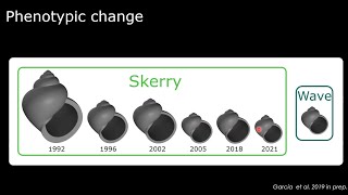 "The genomic basis of repeated divergence in marine snails" Dr. Anja Westram