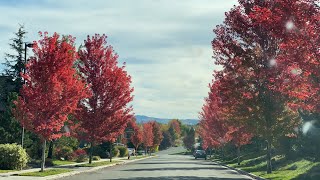 Beautiful Autumn in US || October 2020