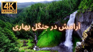 ویدئوی طبیعت آرامش‌بخش برای استراحت و روحیه‌بخشی