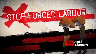 Hold companies accountable for forced labour in supply chains!