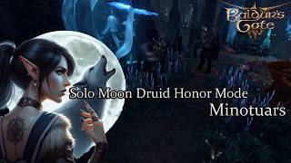 Solo Moon Druid Minotuars  - Honor Run