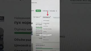 Найдите свою нишу за 20 секунд с помощью AI-инструмента