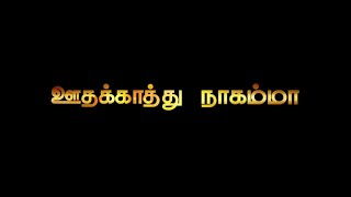 kothivittu pogathe whatsapp status 😍 Tamil black screen video 😍 lyrics_song