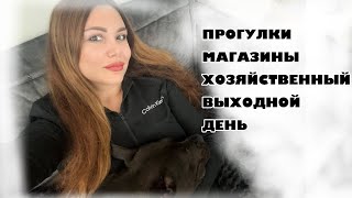 ХОЗЯЙСТВЕННЫЙ ВЫХОДНОЙ | Врачи, магазины, прогулки