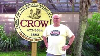 Become a Volunteer at CROW