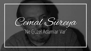 "Ne Güzel Adamlar Var" / Cemal Süreya