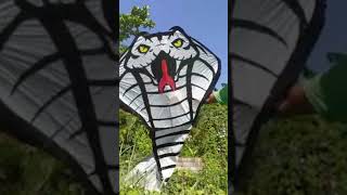 King Cobra Kite making #shorts