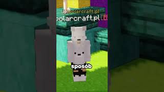 ZOSTAN SKIBIDBI GRACZEM W MINECRAFT!