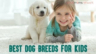 Best Dogs Breeds For Kids | ActiveMomsNetwork