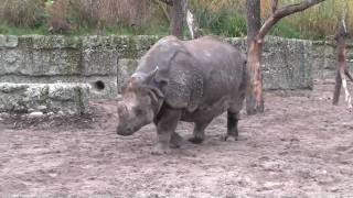 Sauter Garden - Zoo Basel