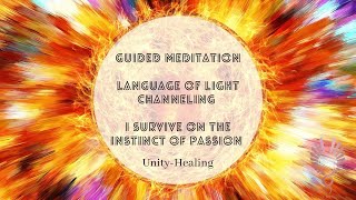 Guided Meditation | I survive on the instinct of passion | Language of Light Channeling