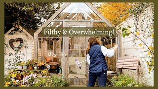 Messy November jobs in the cottage garden: Scrubbing the greenhouse & leaves