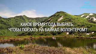 Какое время года выбрать, чтобы поехать на Байкал волонтером?