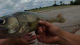 🙂un rato de pesca para el desestres😴👍TUTORIAL EN ESPAÑOL como agarrar peces con lombriz viva