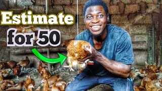 How to start 50 layers farming | Chicken farming.