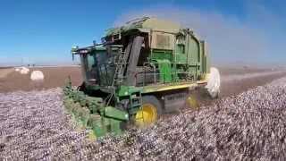 Rio Rancho 2000 LLC 2014 7760 Cotton Picker Harvest