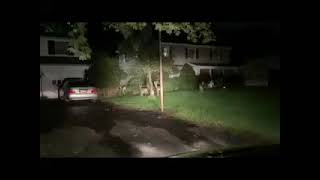 Deer in the Driveway - Penfield, NY - September 28, 2024