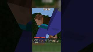 Minecraft but i play in tpp.... #shorts #minecraft