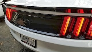 Must Have Mods: Episode 6 (Bumper Protection)