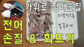 가위로 전어 손질과 회뜨기 위생적으로 깔끔한 전어손질법