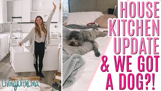 House Kitchen Construction Update AND We Got a Dog?!