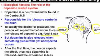 Pathological gambling & the dopamine reward system - VCE U4 Psych