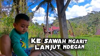 ke sawah ngarit lanjut ndegan