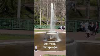 Туристическое место. Фонтаны Петергофа. #питер #туристы #отдых #весна #фонтаны #петергоф