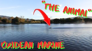 Epic Day on the Water! *Big RC Boat Crash*