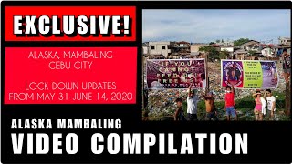 EXCLUSIVE | ALASKA MAMBALING LOCK DOWN UPDATES | MAY 31- JUNE 15, 2020