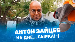 Гастрономический фестиваль "День сырка - 2024"