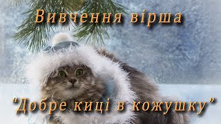 Вивчення вірша - "Добре киці в кожушку"