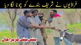 Faradi loog | New Top Funny | Must Watch Top New Comedy Video 2024