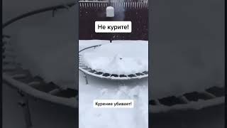 #популярное #рекомендации Засмеялся подписался  🤣