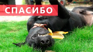 🧡ОТКРЫТКА ИЗ ЭКВАДОРА | 100 подписчиков👏