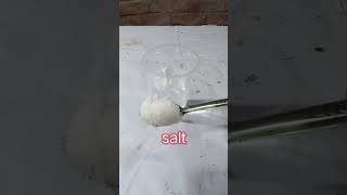 Science experiment Egg vs salt & water। ডিম বনাম লবণ পানির এক্সপেরিমেন্ট #shorts #scienceexperiment