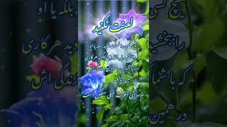 لعنت نکنید