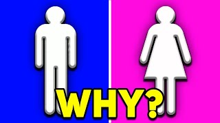 Why Is PINK a Girl Color And Blue a Boy Color?