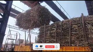 Athani Sugar Factory (Kemppavada) sugar factory/sugarcane unloading on sugar factory