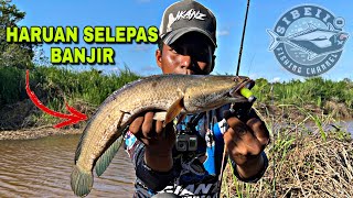 CASTING HARUAN | GABUS PORT SOLIT SELEPAS MUSIM BANJIR ‼️ Relix Nusantara | Shimano | Exp | Gladius