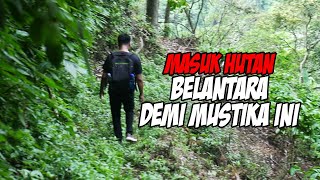 Nyari Batu Mustika Sampai Masuk di Tengah Hutan Belantara