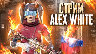 ПРИЗОВЫЕ КАСТОМКИ ПАБГ МОБАЙЛ НА UC / ДУО / СТРИМ ПАБГ МОБАЙЛ / PUBG MOBILE / STREAM ALEX WHITE