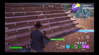 Fortnite With Friends