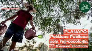 PLANAPO: Políticas Públicas pela Agroecologia! | Cantos do Sabiá