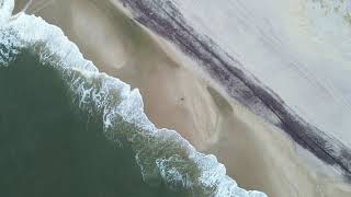 Hot Dog Beach, East Quogue, Long Island, New York | "Pinky"