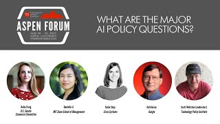 What are the Major AI Policy Questions?