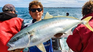 Offshore Gummie Shark's & Kingfish at the Rip