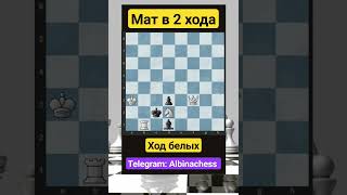 Telegram: Albinachess #chess #шахматы #chorts