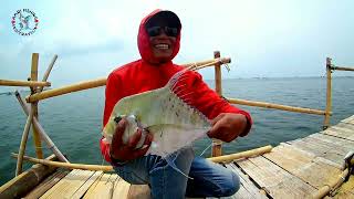 MANCING DI BAGAN JUMADI MARUNDA NO.7 KUWENYA SELALU ADA